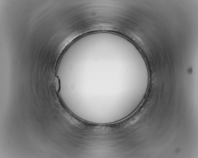 X0000089851081200707262103