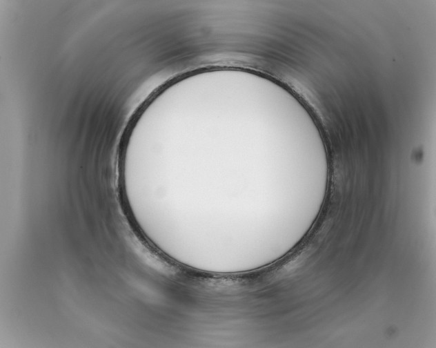 X0000089851082200707262103