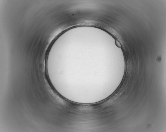 X0000089851083200707262103