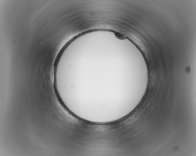 X0000089851084200707262103