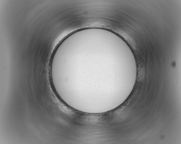 X0000089851086200707262102