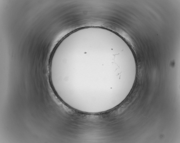 X0000089851088200707262102