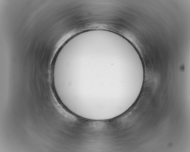 X0000089851090200707262102