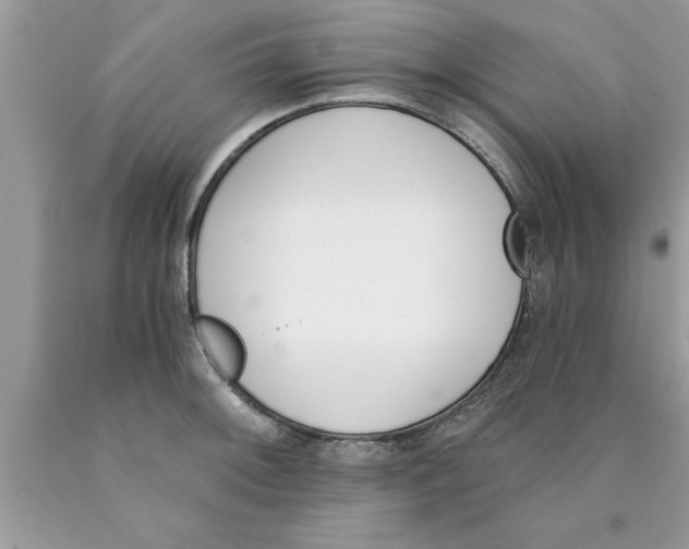 X0000089851092200707262102