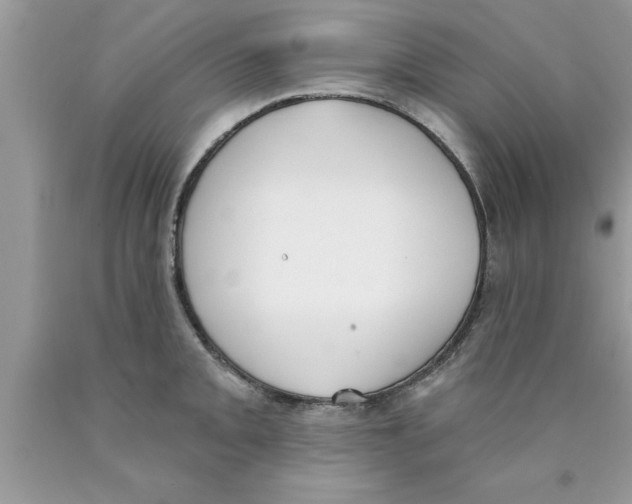 X0000089851093200707262102