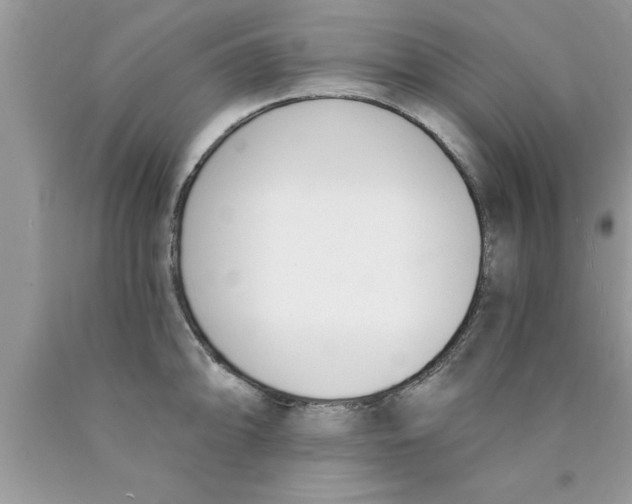 X0000089851094200707262102