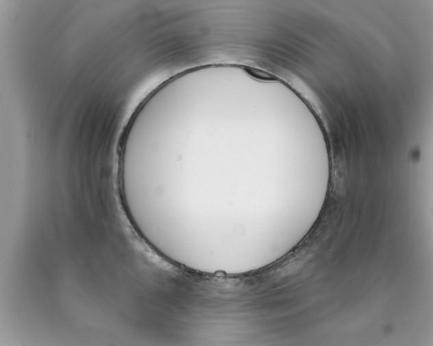 X0000089851096200707262102