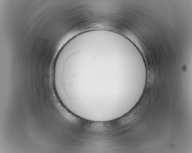 X0000089851098200707262102