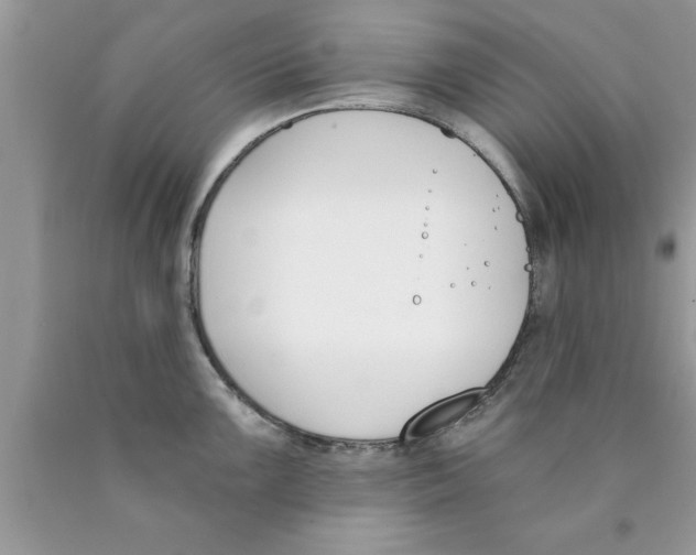 X0000089851099200707262102