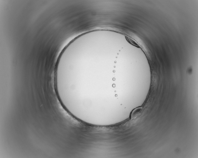 X0000089851100200707262102