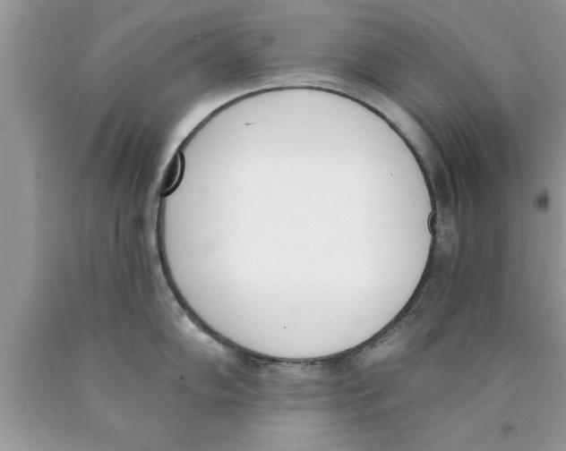 X0000089851102200707262102