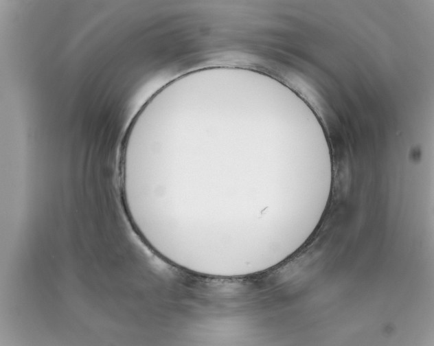 X0000089851103200707262102