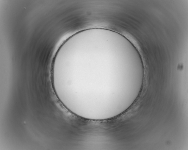 X0000089851104200707262102