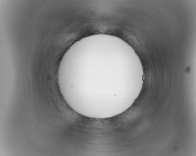 X0000089851105200707262101