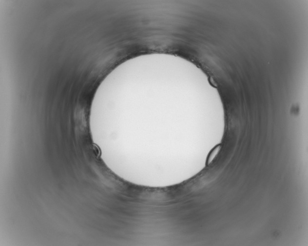 X0000089851106200707262102