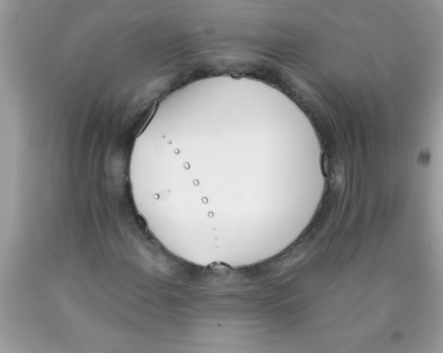 X0000089851108200707262102