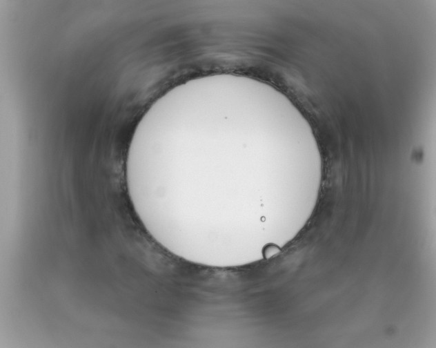 X0000089851109200707262102