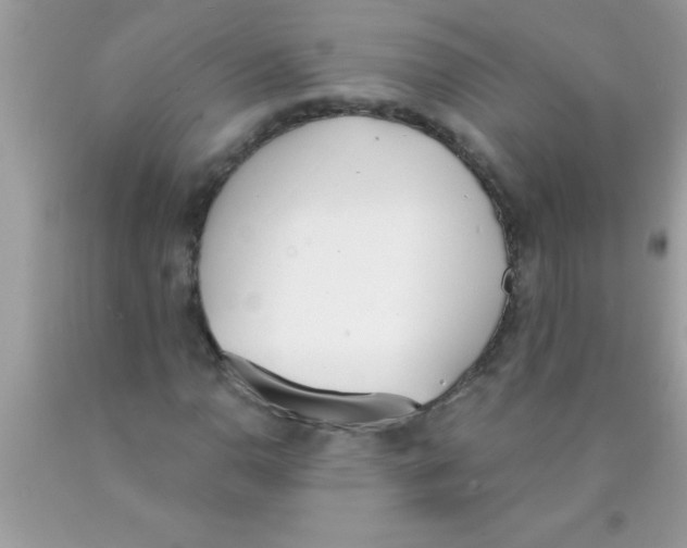 X0000089851110200707262102