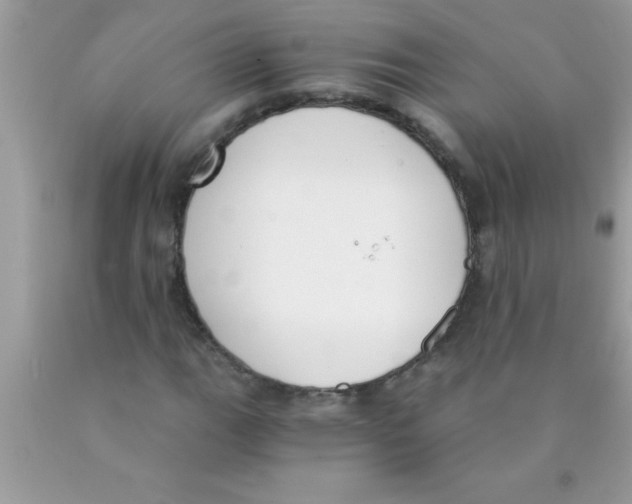 X0000089851111200707262102