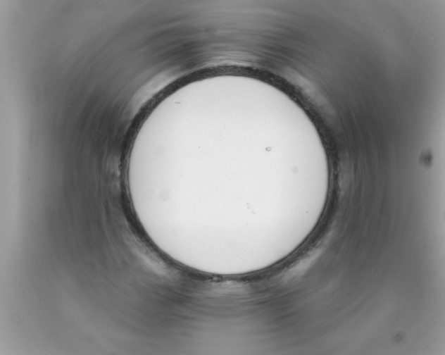 X0000089851113200707262102