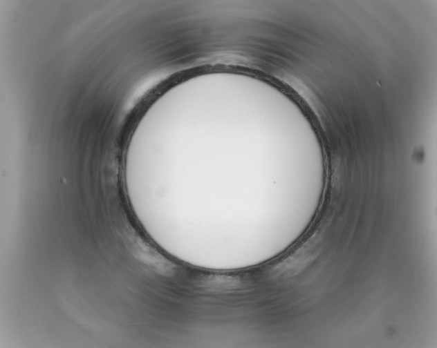 X0000089851115200707262102