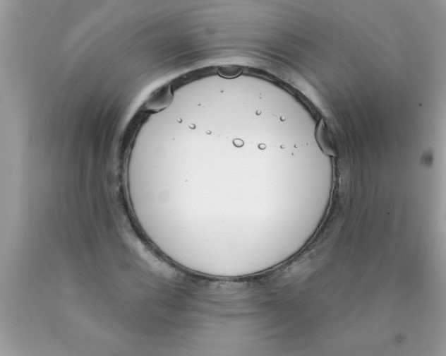 X0000089851116200707262102