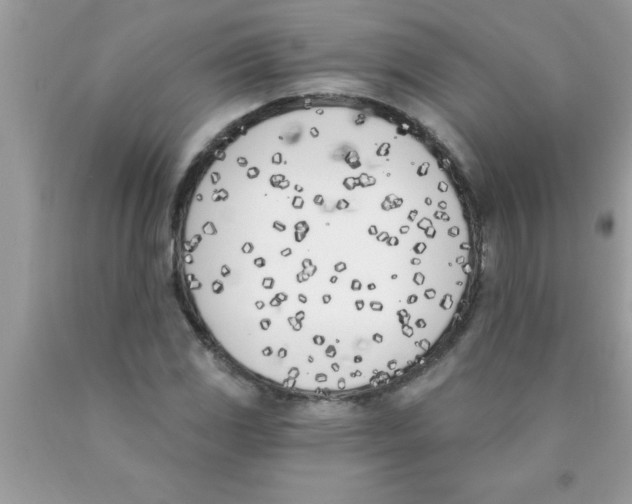 X0000089851117200707262102