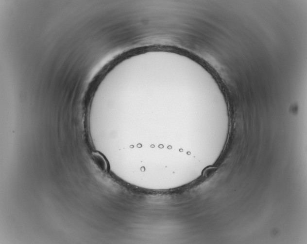 X0000089851118200707262102