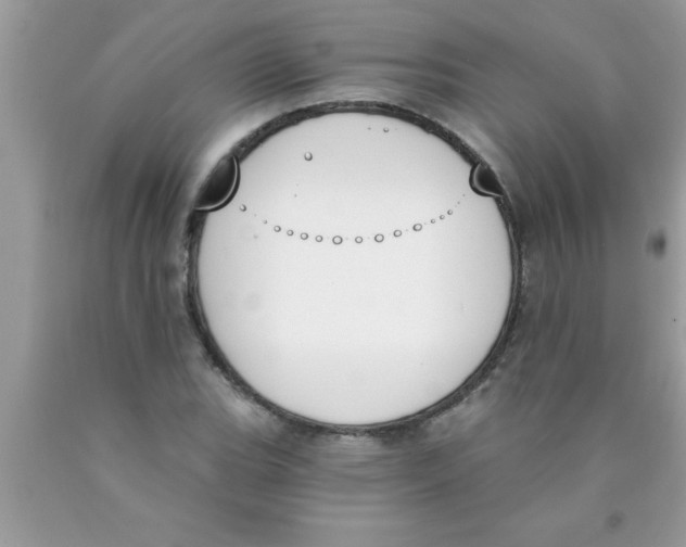 X0000089851119200707262102