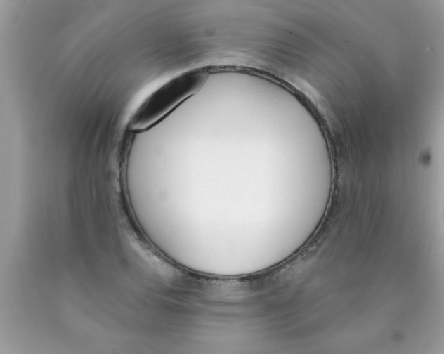 X0000089851120200707262102