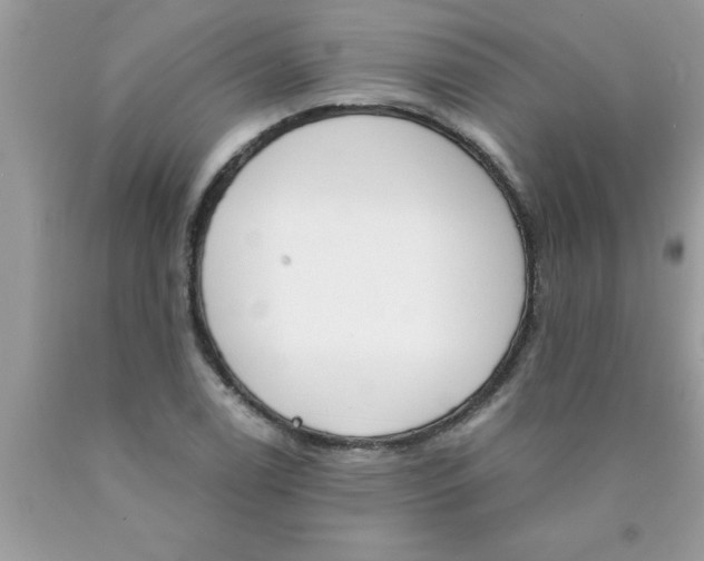 X0000089851122200707262102