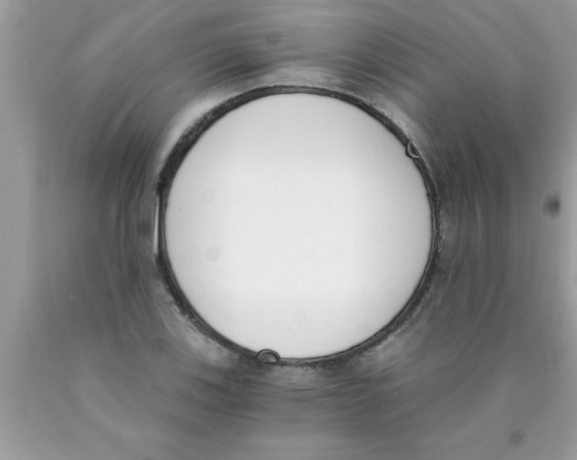 X0000089851123200707262102