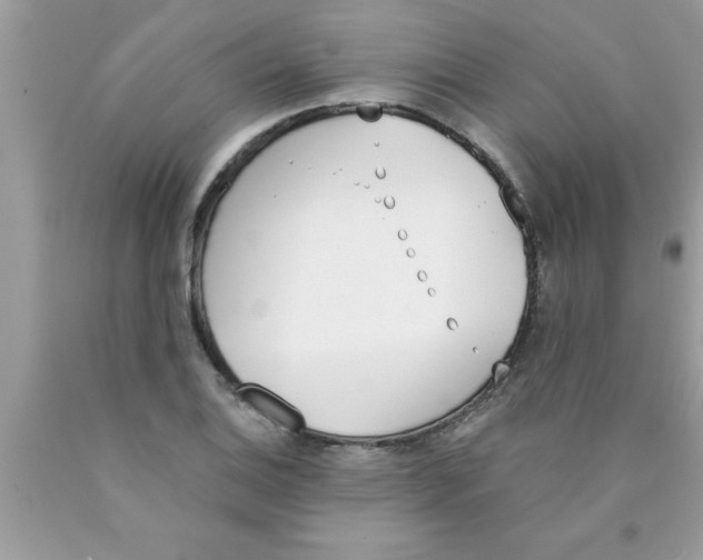 X0000089851124200707262102