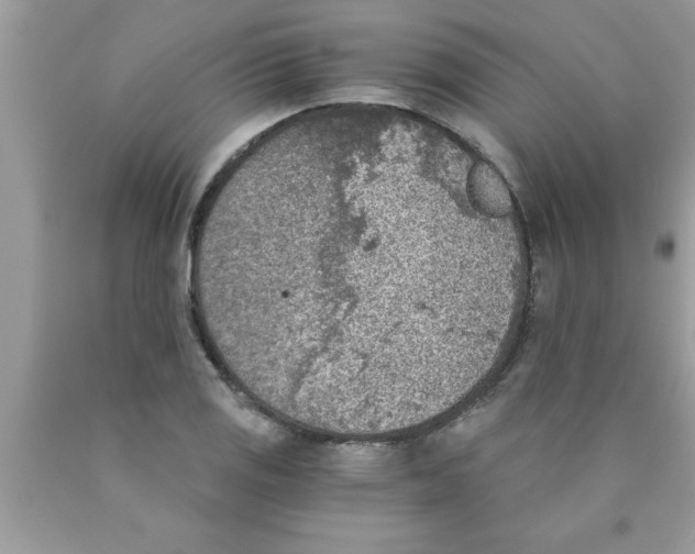 X0000089851125200707262102