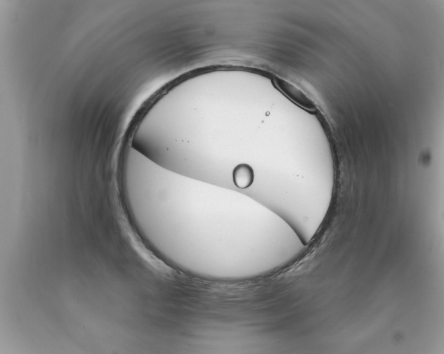 X0000089851128200707262102