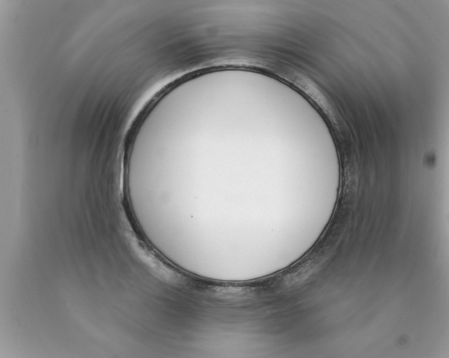 X0000089851132200707262102