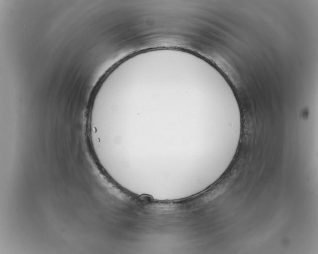 X0000089851134200707262102