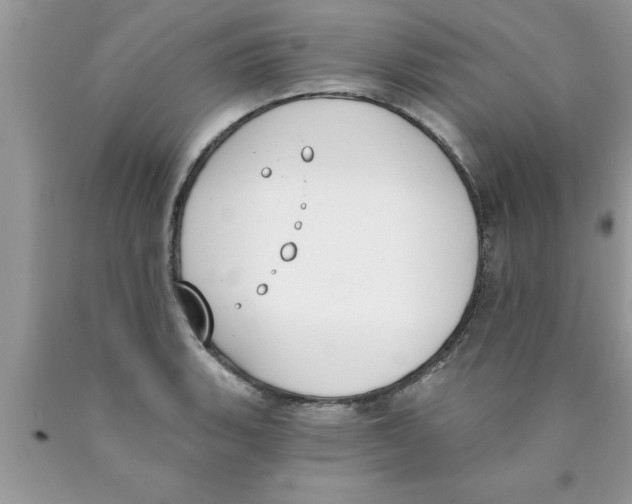 X0000089851135200707262102