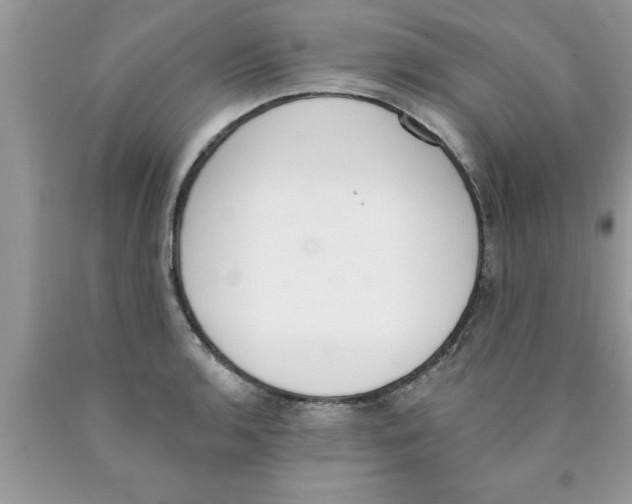 X0000089851136200707262102