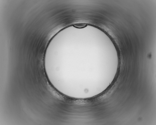 X0000089851137200707262102