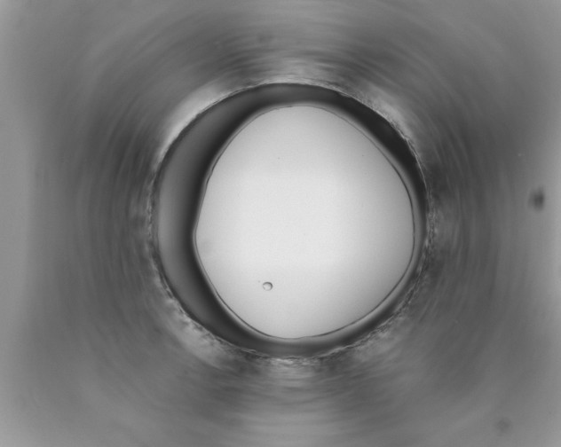 X0000089851138200707262102