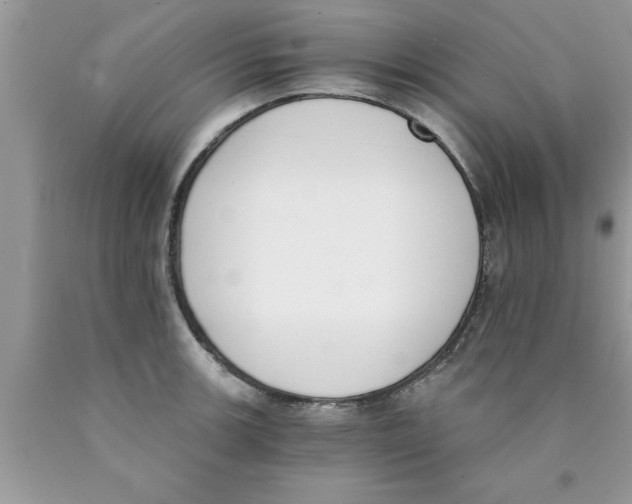 X0000089851139200707262102