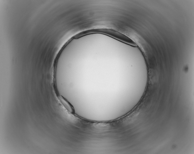 X0000089851140200707262102