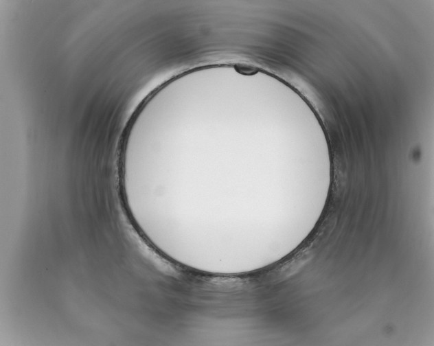 X0000089851142200707262102