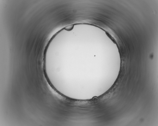 X0000089851143200707262102