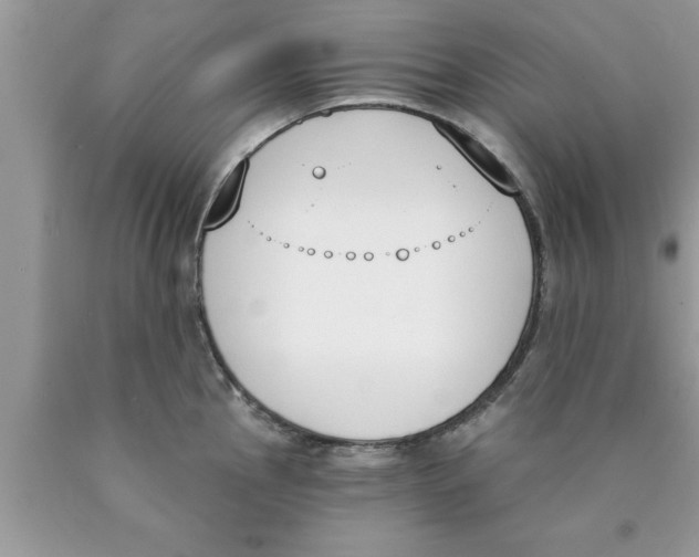 X0000089851145200707262102