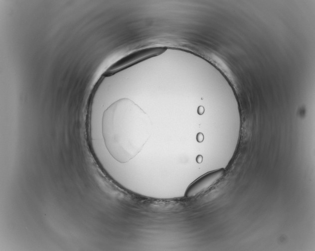 X0000089851146200707262102