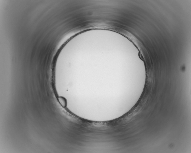 X0000089851147200707262102