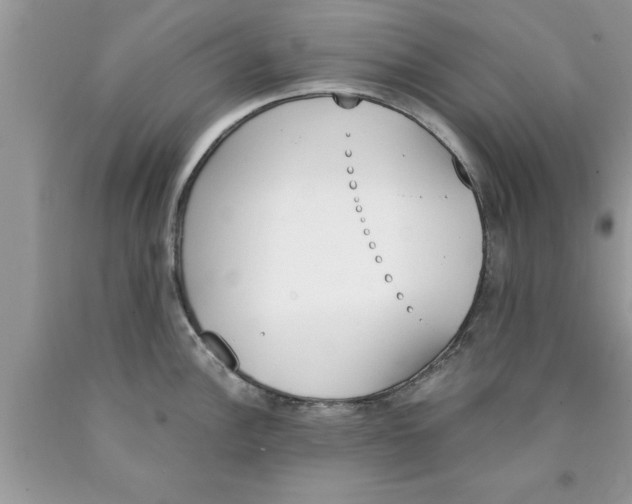 X0000089851148200707262102