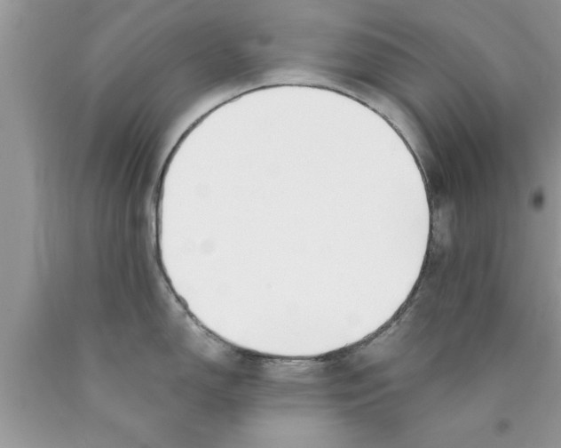 X0000089851150200707262102